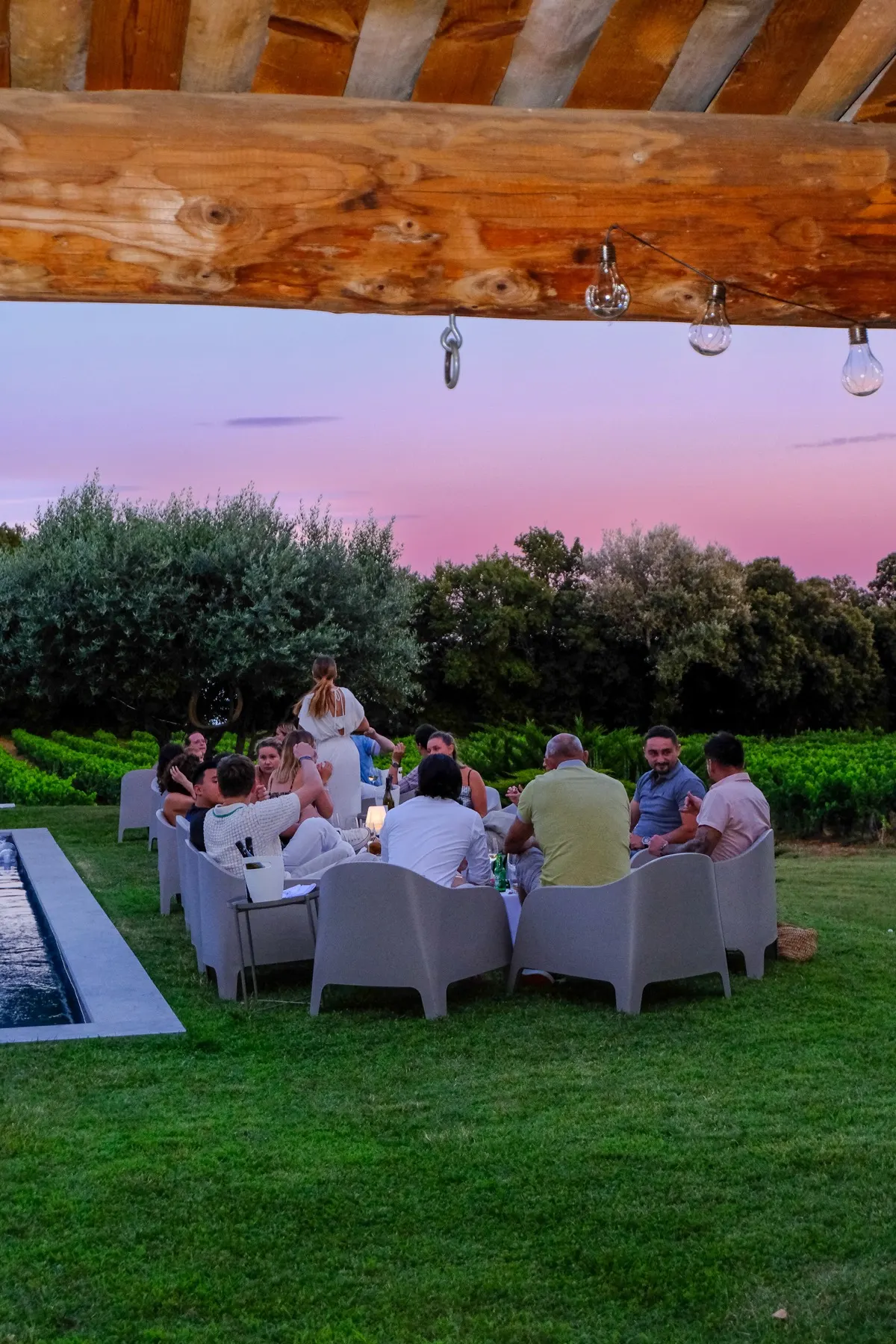 Piscine du mas et paysage provençal